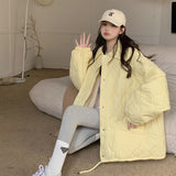 Case Lapel Liner Lamb Wool Cotton Coat Female Autumn And Winter Bread Clothes Warm Cotton-Padded Clothes Loose Casual Jacket