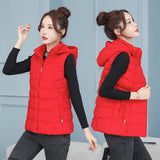 2024 Autumn Winter Down Cotton Vest Short Korean Version Slim Slim Vest Vest Outside The Vest