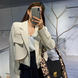 huibaolu Women Spring Office Ladies All-match Leisure Trendy Single Breasted New Pockets Ulzzang Elegant Vintage Outwear Clothing