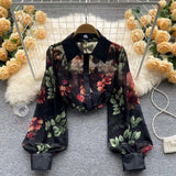 Huibaolu Print Chiffon Vintage Transparent Thin Women's Blouse Shirt Polo-Neck Lantern Sleeve Pullover Blouses Spring Summer 2023